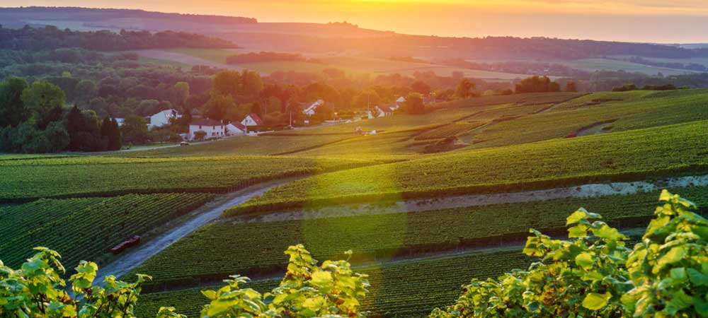 passeio em Champagne